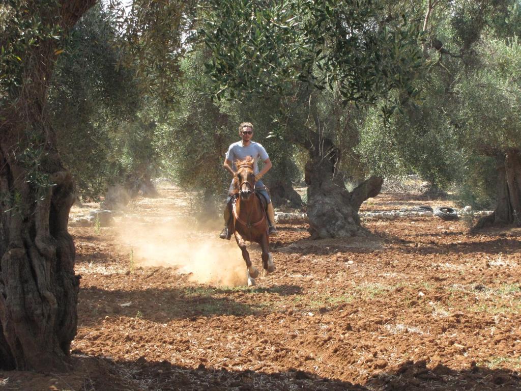 Antica Masseria Carparelli Konuk evi Ostuni Dış mekan fotoğraf